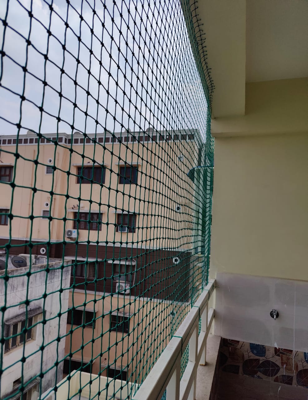 Safety Nets